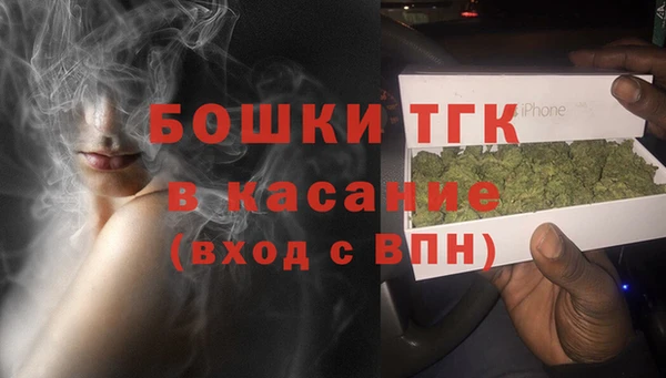экстази Бородино