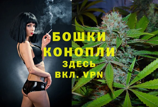 МДПВ Бронницы