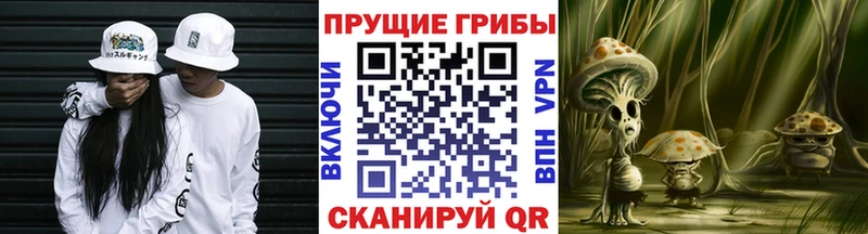 Галлюциногенные грибы ЛСД  Кимовск 